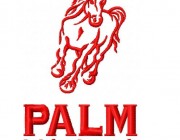 palm_123