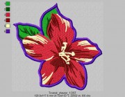 flowers_2